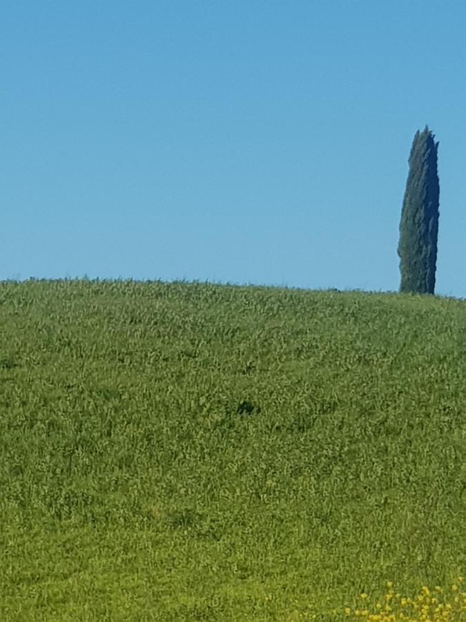 몬탈치노 Casa Per L'Osticcio Vista Sulla Val D'Orcia 아파트 외부 사진