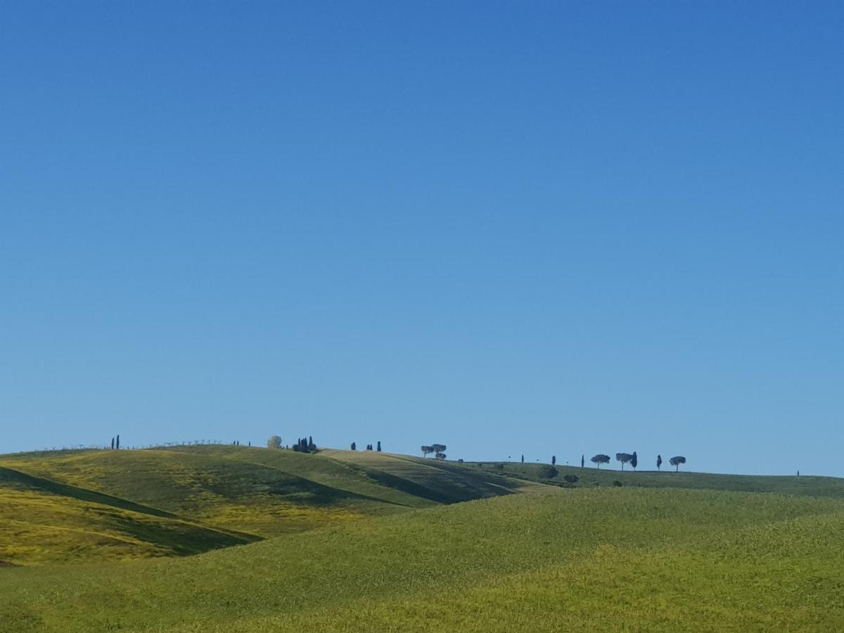 몬탈치노 Casa Per L'Osticcio Vista Sulla Val D'Orcia 아파트 외부 사진