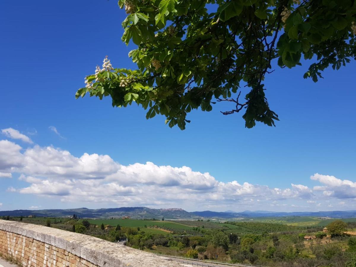 몬탈치노 Casa Per L'Osticcio Vista Sulla Val D'Orcia 아파트 외부 사진