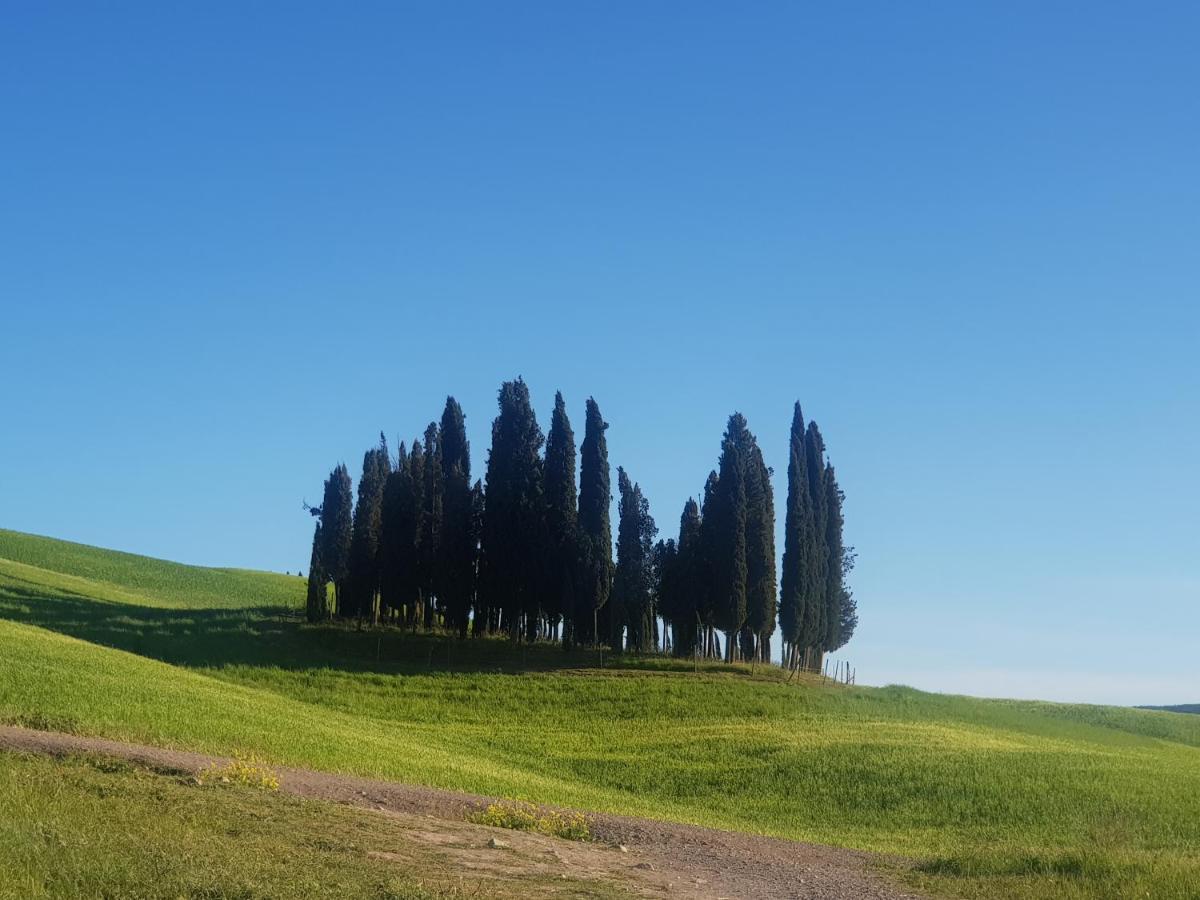 몬탈치노 Casa Per L'Osticcio Vista Sulla Val D'Orcia 아파트 외부 사진