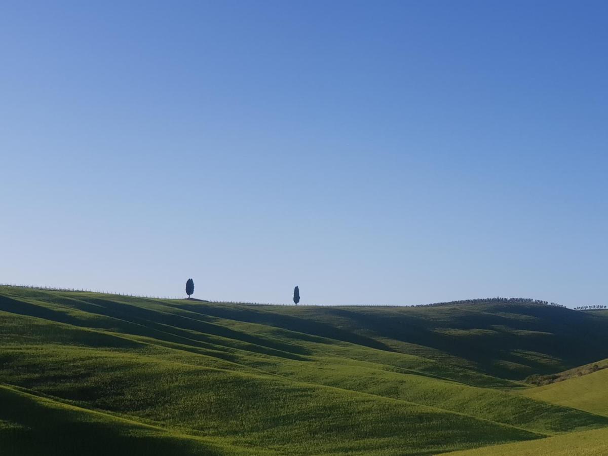 몬탈치노 Casa Per L'Osticcio Vista Sulla Val D'Orcia 아파트 외부 사진