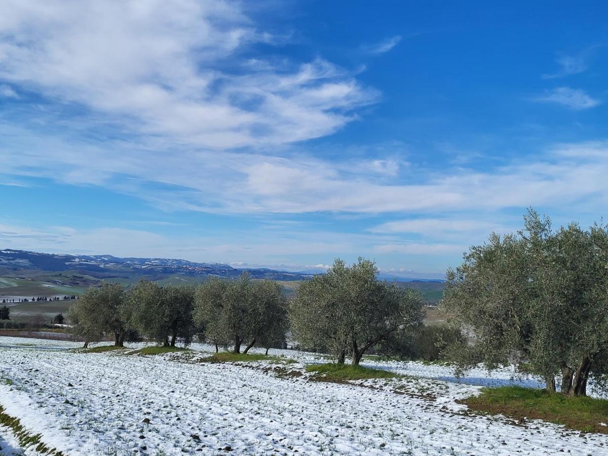 몬탈치노 Casa Per L'Osticcio Vista Sulla Val D'Orcia 아파트 외부 사진