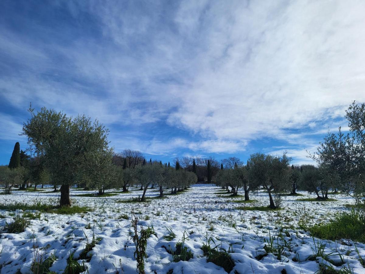 몬탈치노 Casa Per L'Osticcio Vista Sulla Val D'Orcia 아파트 외부 사진