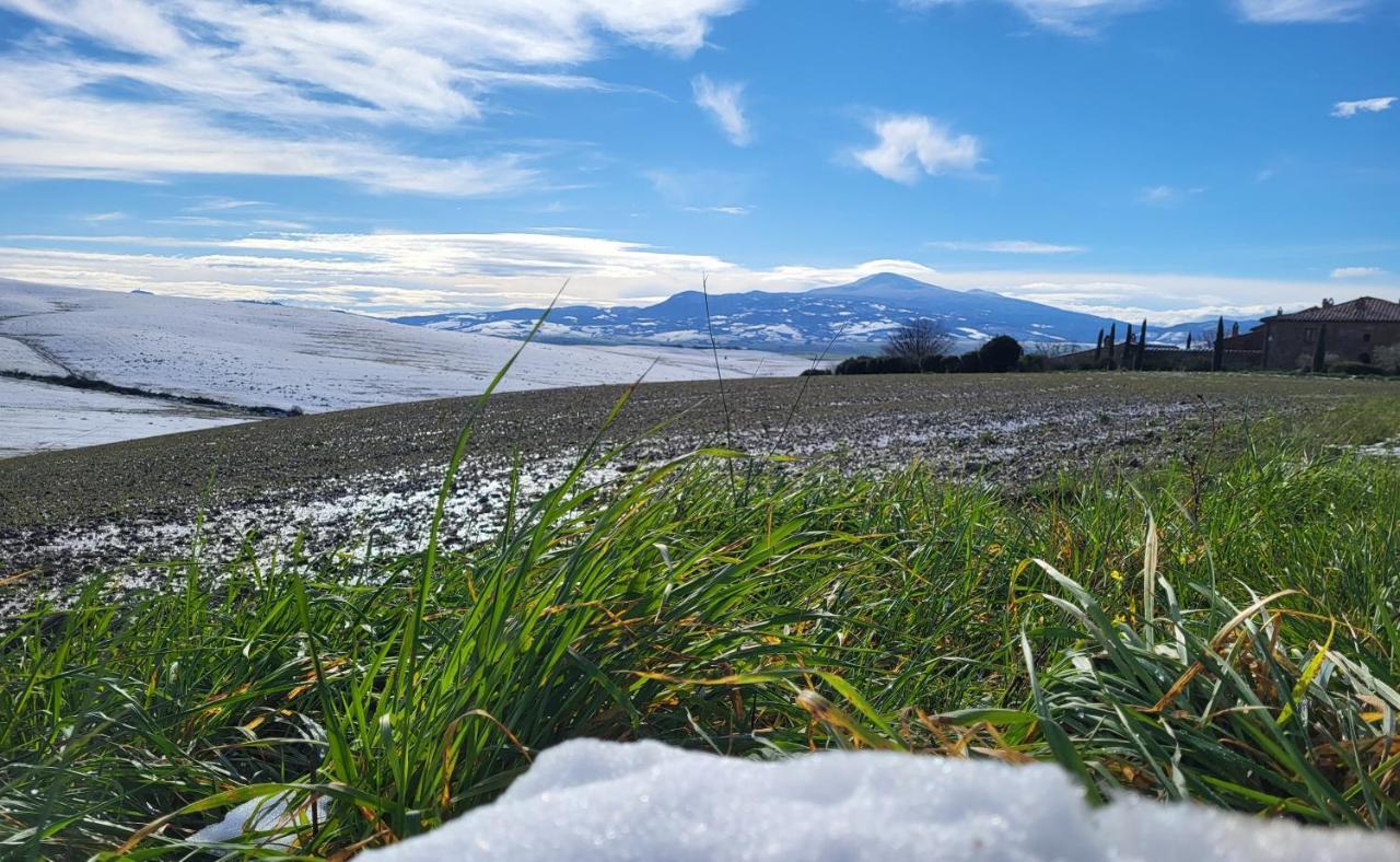 몬탈치노 Casa Per L'Osticcio Vista Sulla Val D'Orcia 아파트 외부 사진