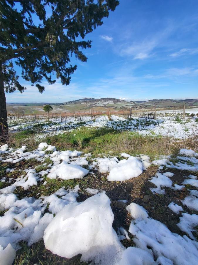 몬탈치노 Casa Per L'Osticcio Vista Sulla Val D'Orcia 아파트 외부 사진